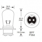 BPF P36D SINGLE FILAMENT: British Pre-focus P36D base with single filament and large glass from £0.01 each